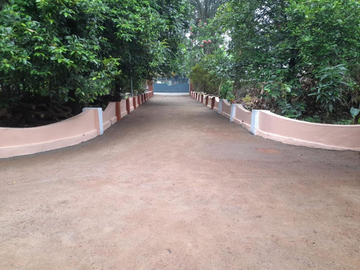 Back Packers Cochin Hostel
