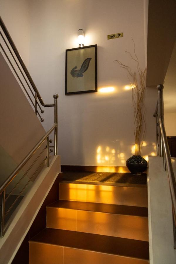 Homested Homestay