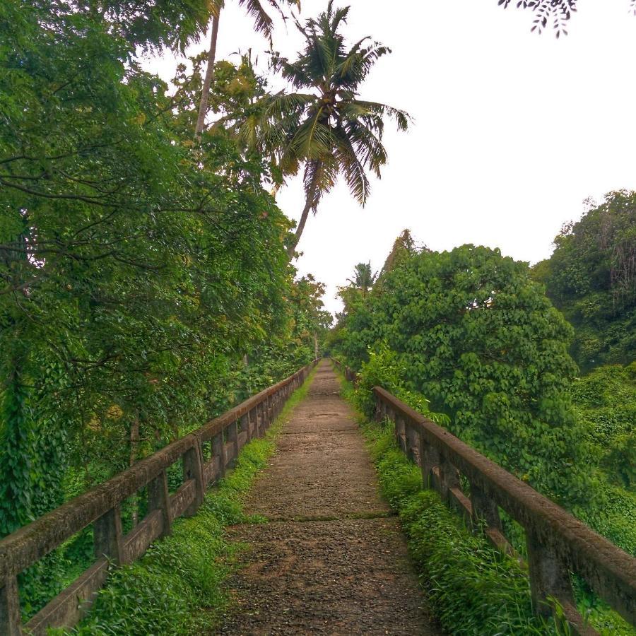 Hostel Back Packers Cochin Kochi