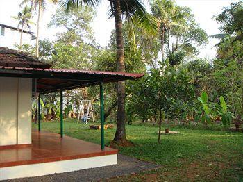 Palm Grove Service Kochi