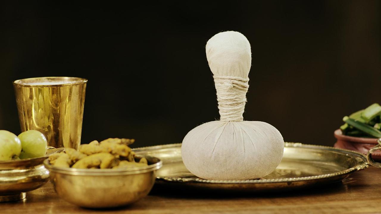 Sanjeevini Life Care Village - A Science Based Non - Invasive Holistic Wellness Destination Resort *