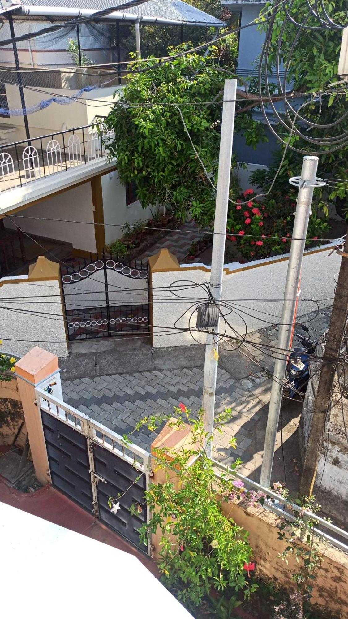 Homestay Hornbill