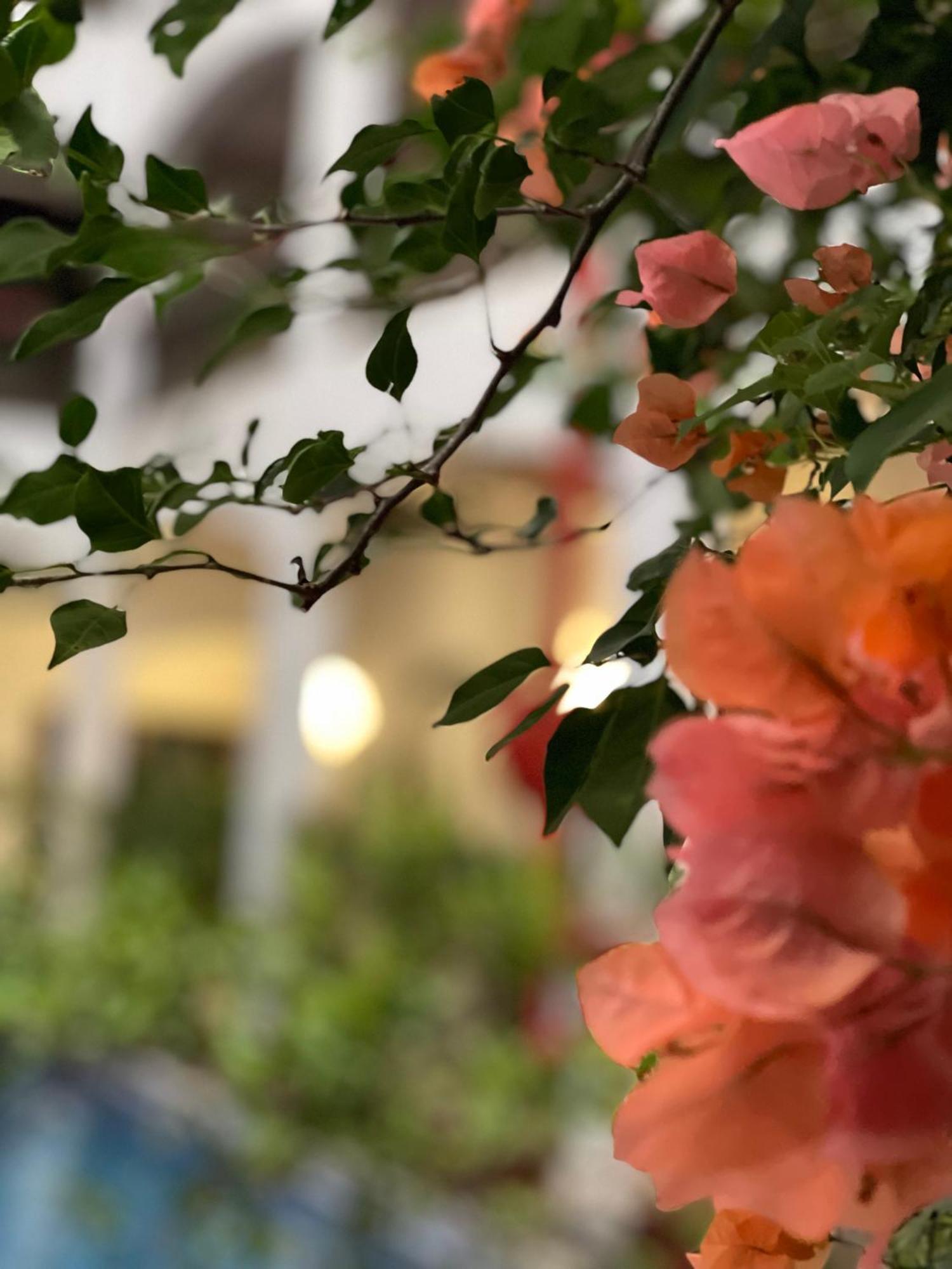 The Killians Boutique Hotel Kochi
