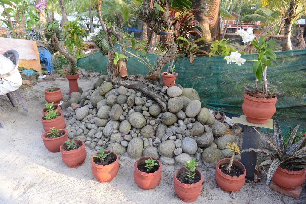 Royal Beach Abode Homestay Kochi