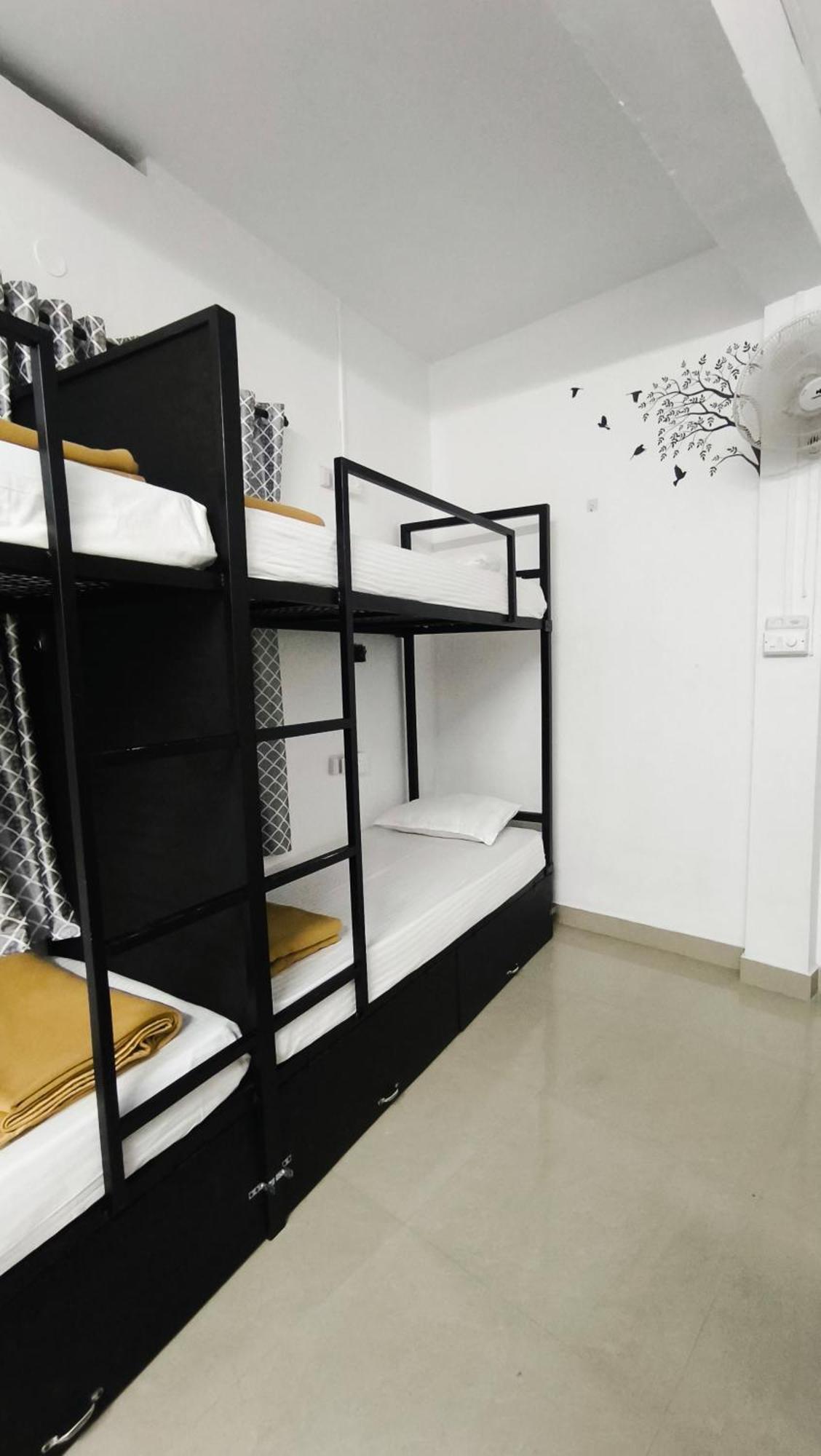 Hostel Stayzo *