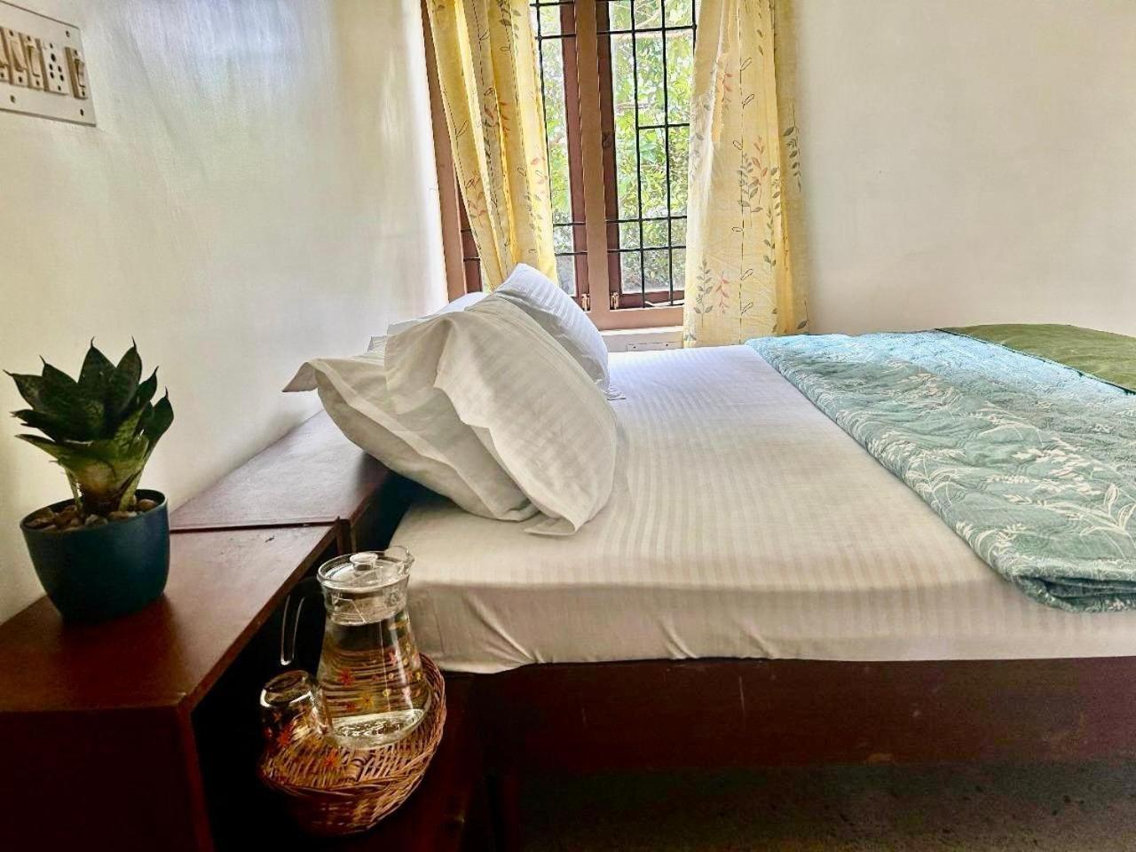 Mango Tree Guest house