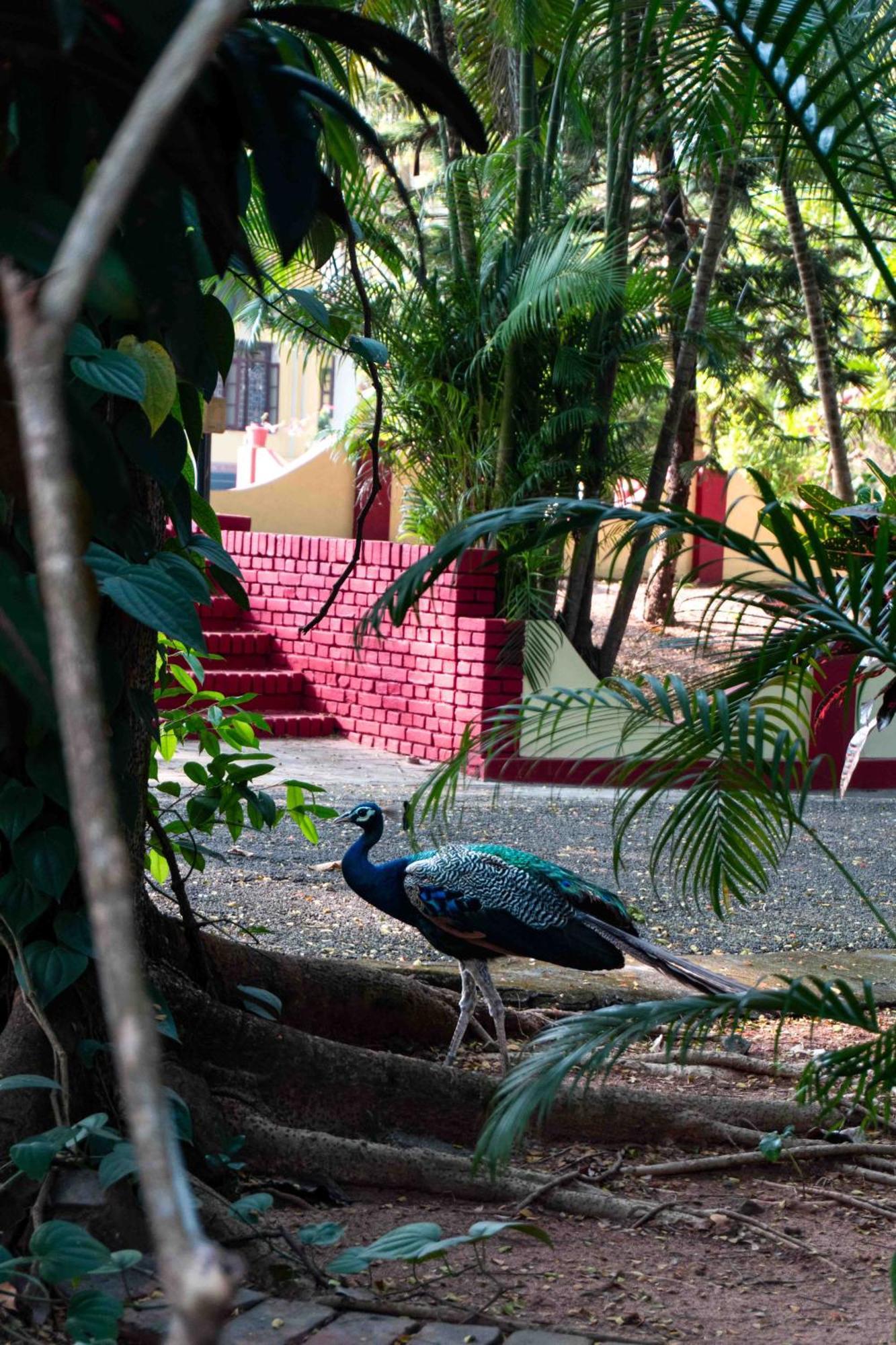Gama Heritage Residency Hotel Kochi