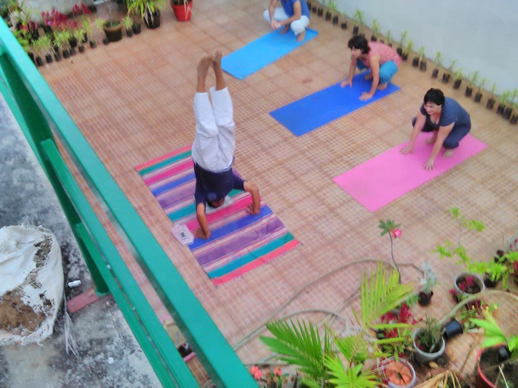 Jojies Homestay Fortkochi Homestay Kochi