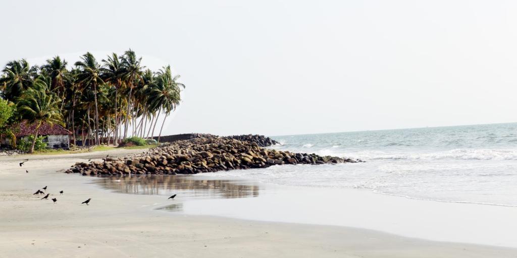 Casa Linda 3* Kochi