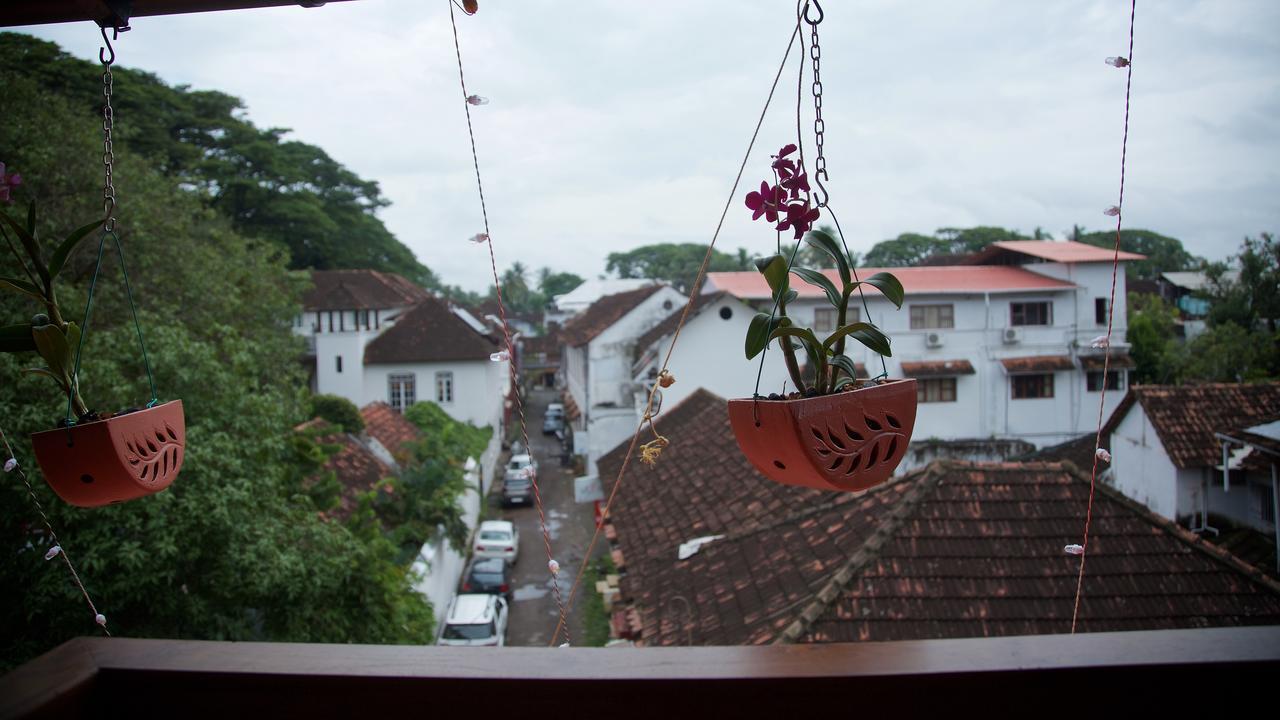 Roses Fortkochi Kochi