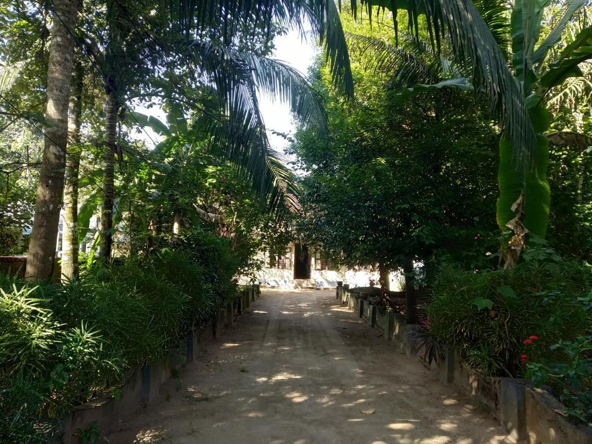 Hostel Back Packers Cochin *