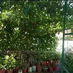 The Nest Homestay