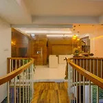 Treebo Trend 10By D2V