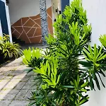 Babylon Homestay