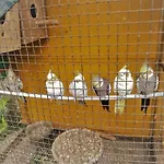 El Casa Homestay