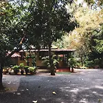 Palm Grove Service Villa