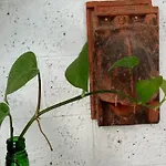 Adams Wood House Ayurveda Homestay Kochi