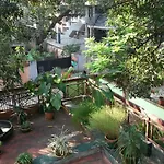 Lavender Home Stay