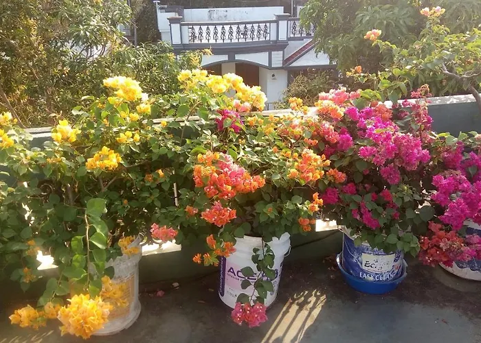 Heavenly Homestay