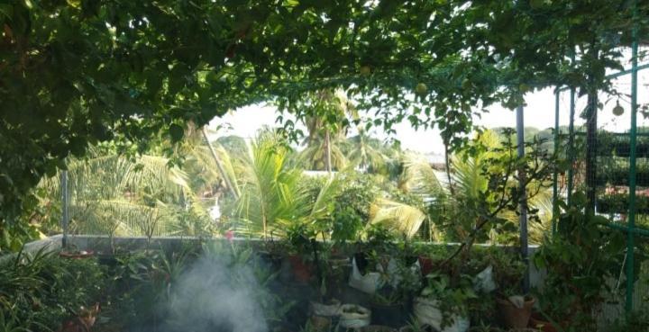 The Nest Homestay Homestay Kochi