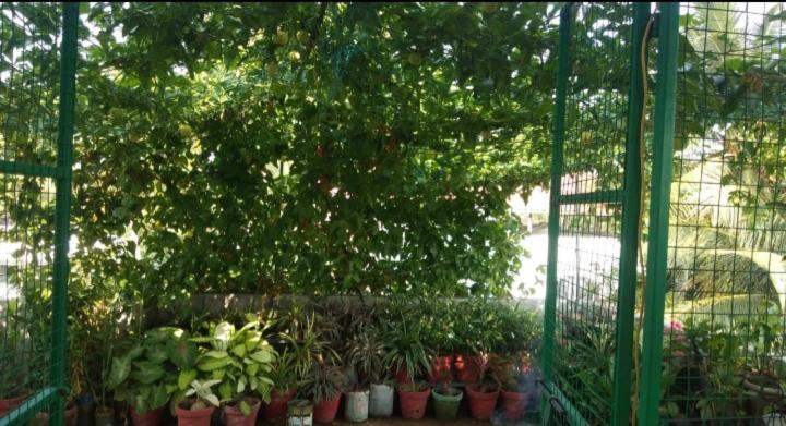 The Nest Homestay Kochi