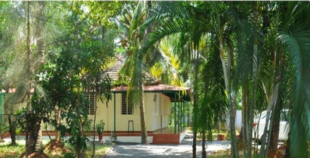 Palm Grove Service 2* Kochi