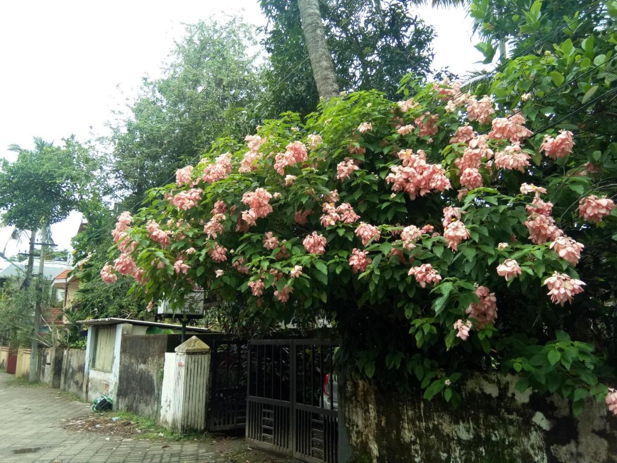 Coconut Grove Homestay Kochi