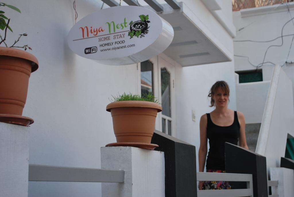 Homestay Niya Nest *