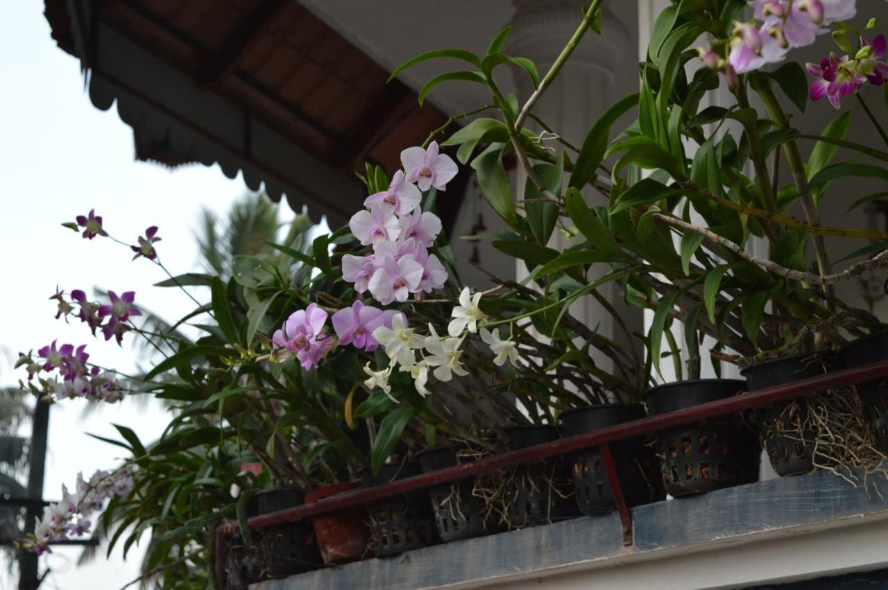 Homestay Dream Catcher