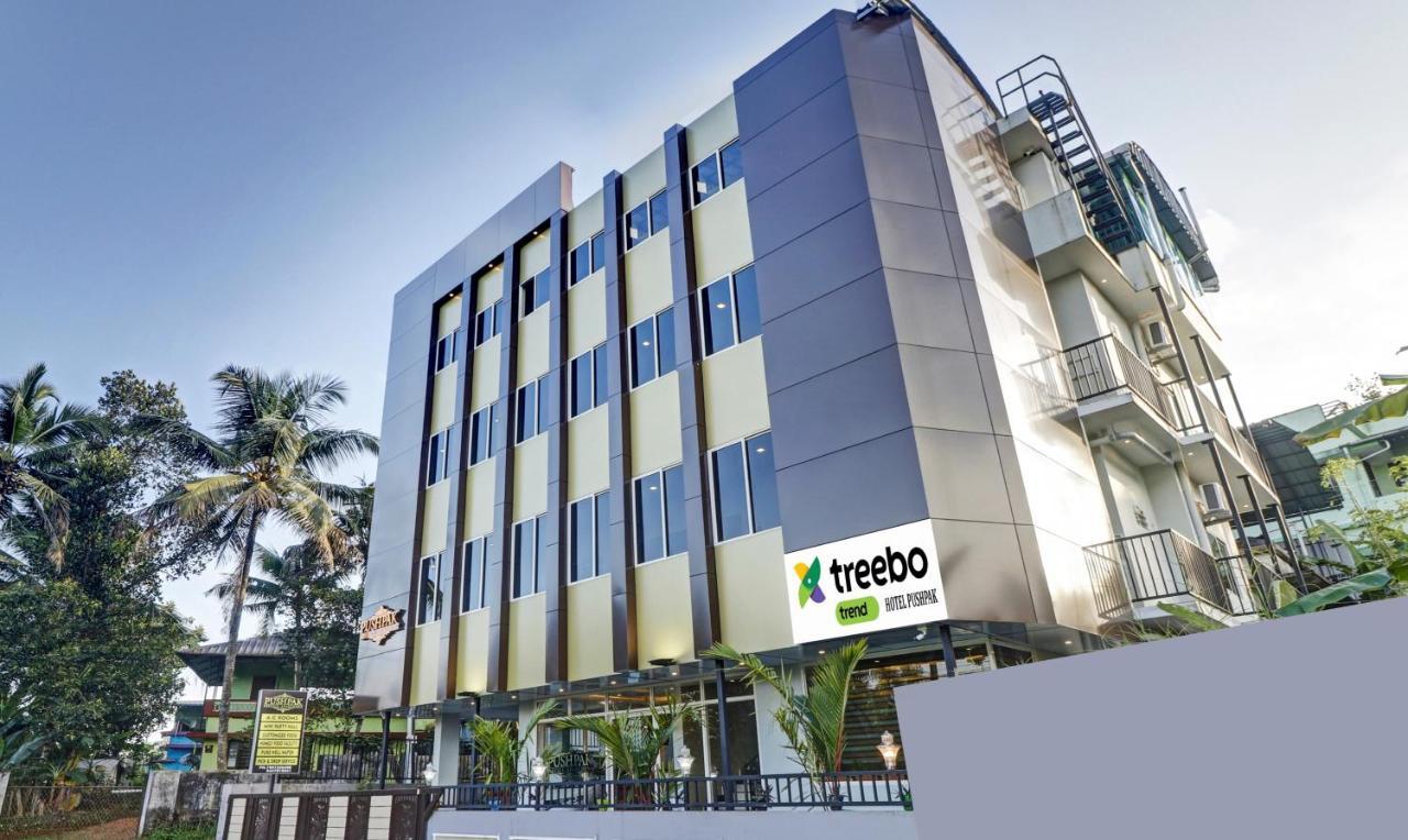 Treebo Pushpak Service 3*