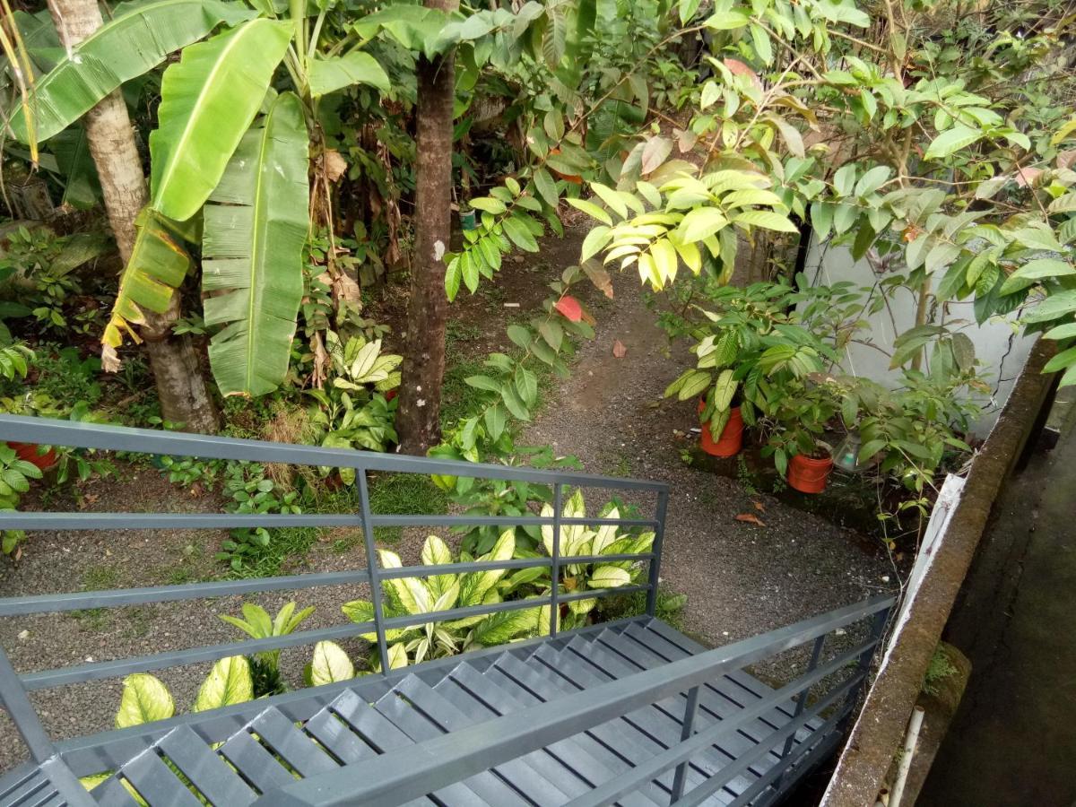 Homestay Coconut Grove