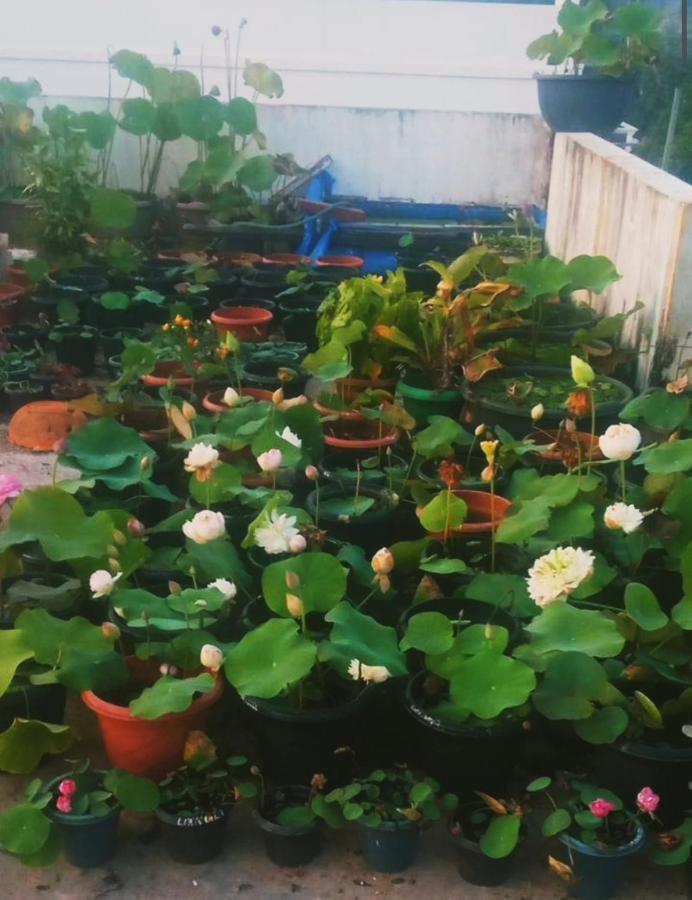 Raelyn's Homestay Kochi
