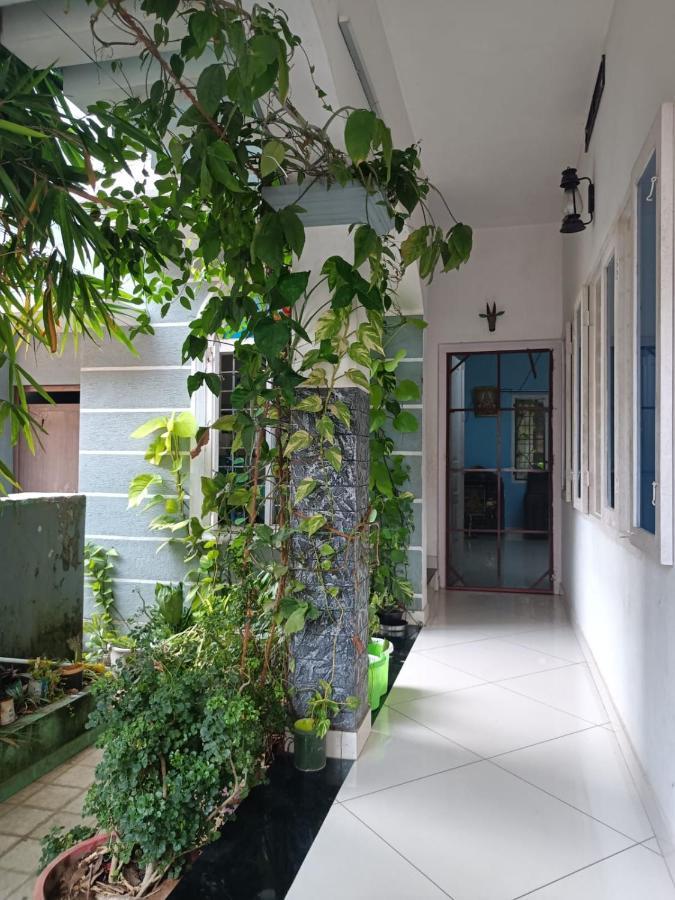 Nest * Kochi