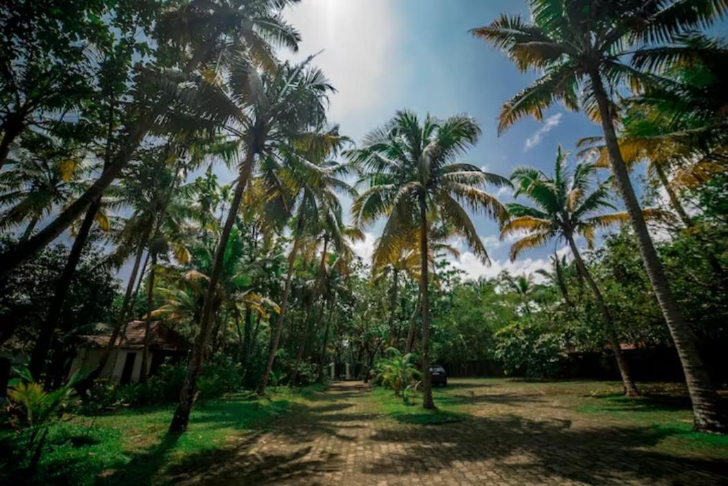 Ogstharavadu Resort Kochi
