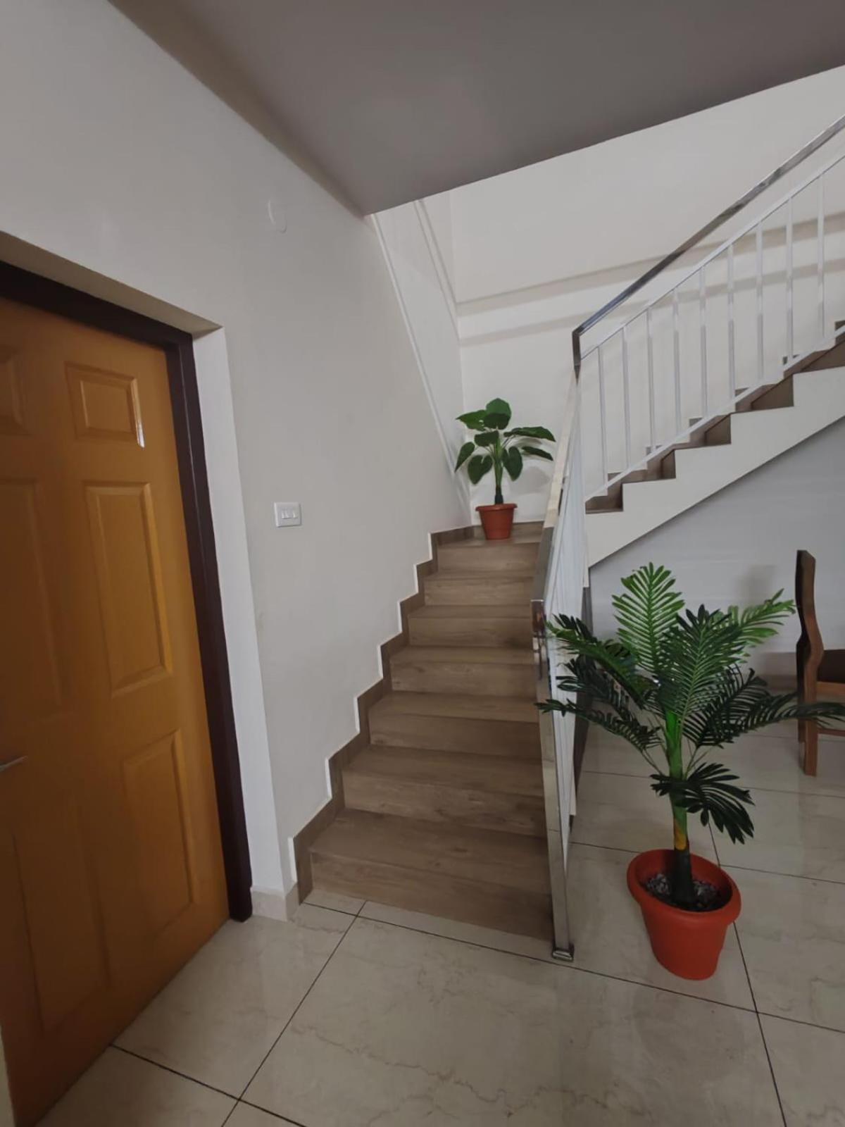 Greenview Royal Near Amrita Hospital Edappally