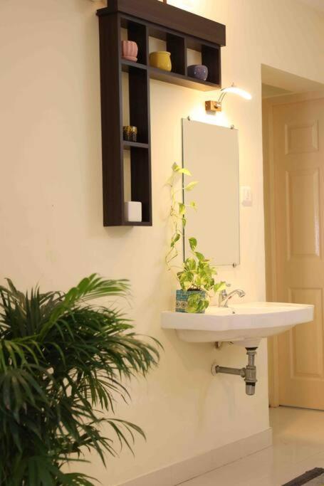 Best Serviced In Cochin Marine Drive Apartment Kochi