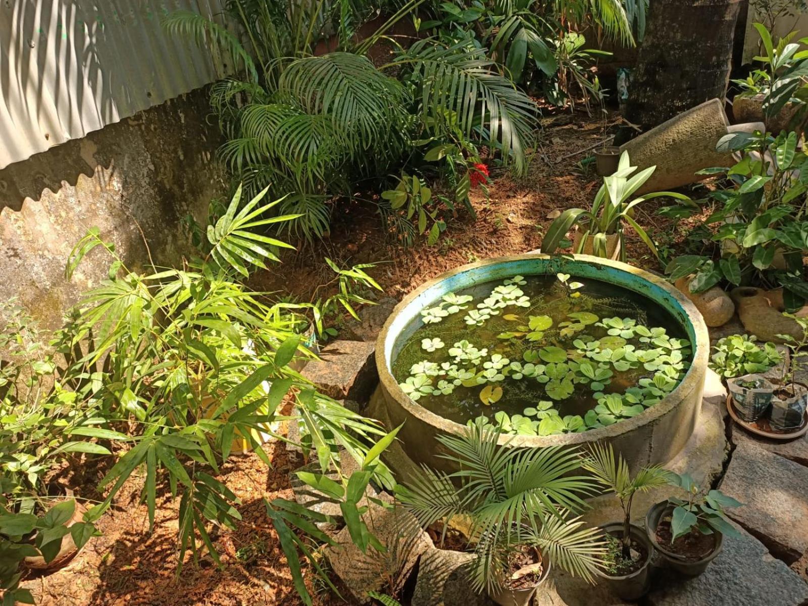 Adams Wood House Ayurveda Homestay *