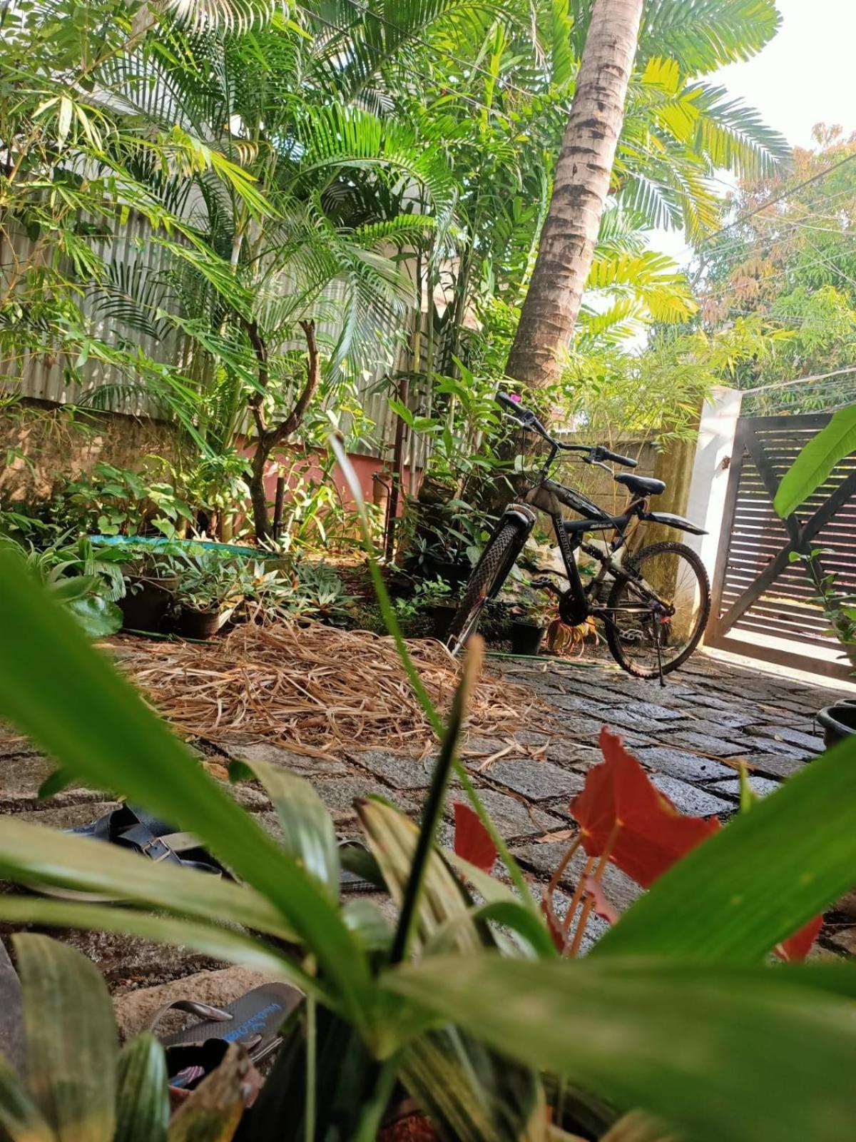 Homestay Adams Wood House Ayurveda Kochi