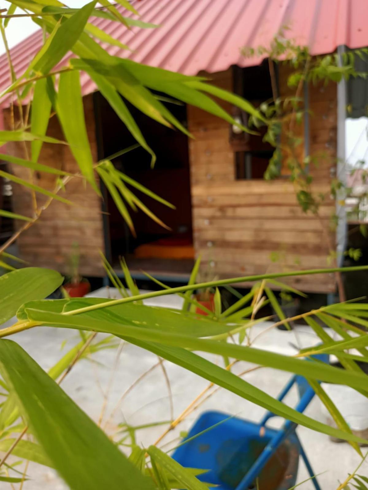 Adams Wood House Ayurveda