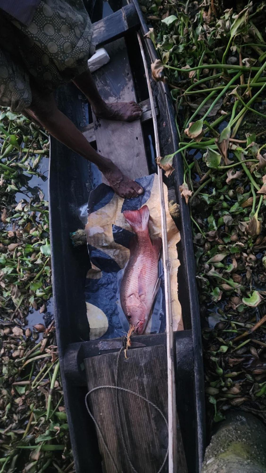 Cheenavala Fishing *