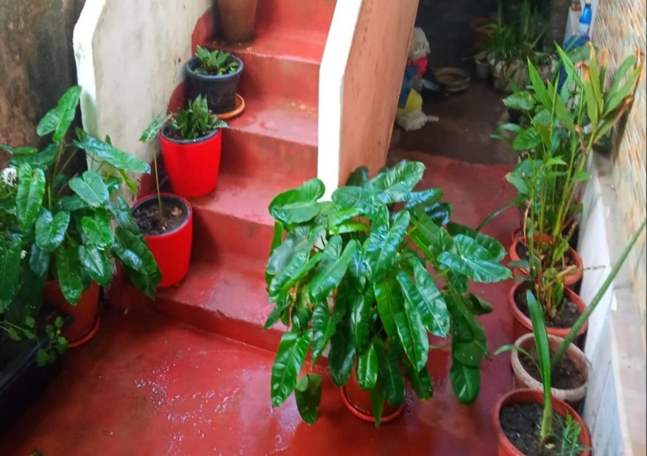 Raelyn's Homestay