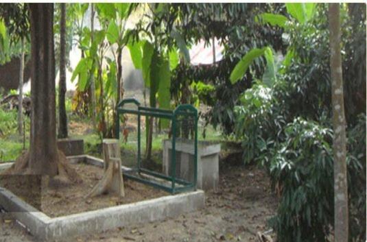 Bed & Breakfast Palm Grove Service 2*