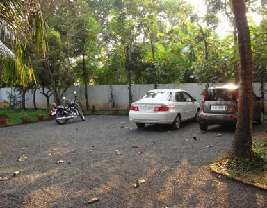 Palm Grove Service