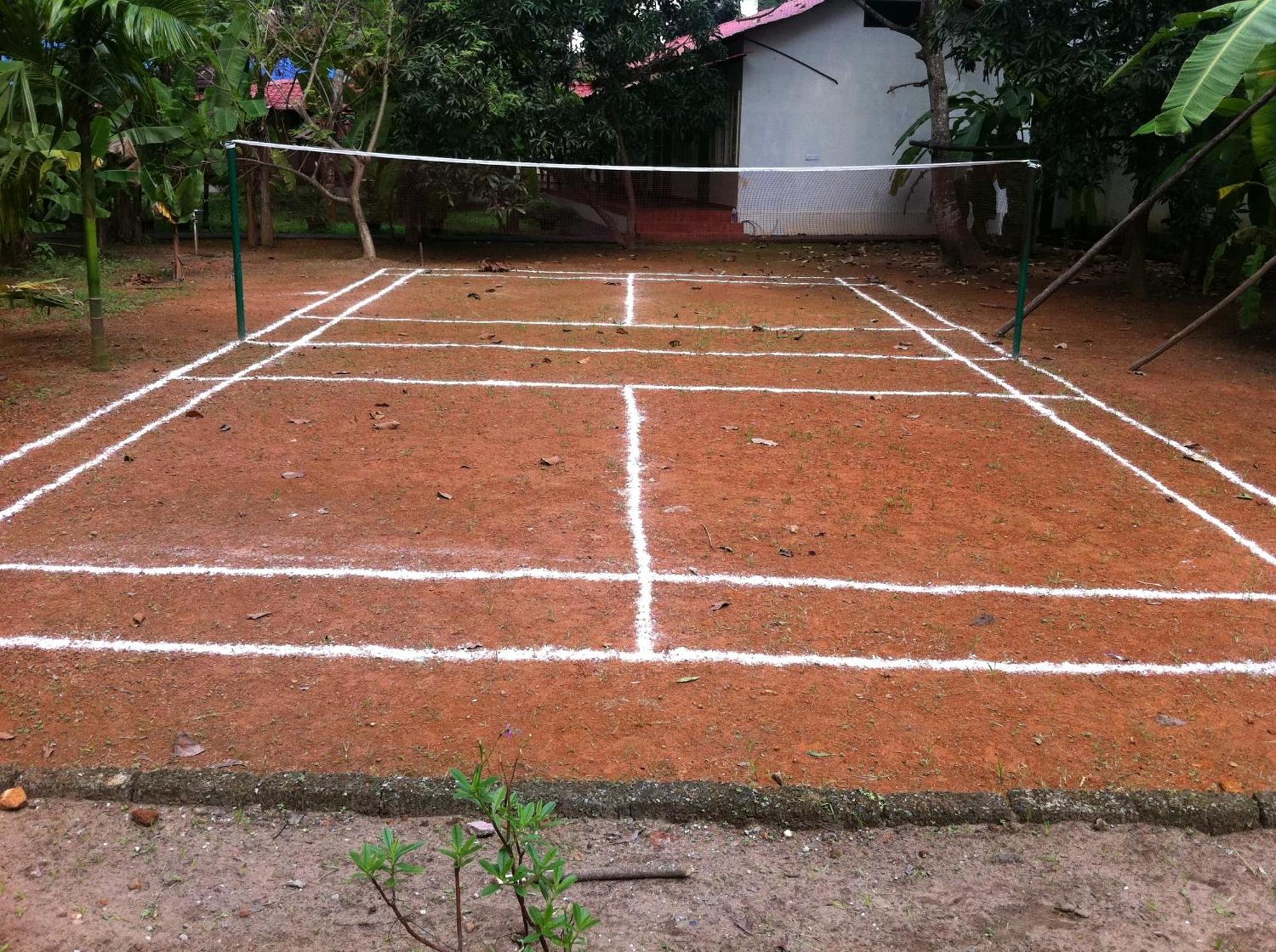 Bed & Breakfast Palm Grove Service