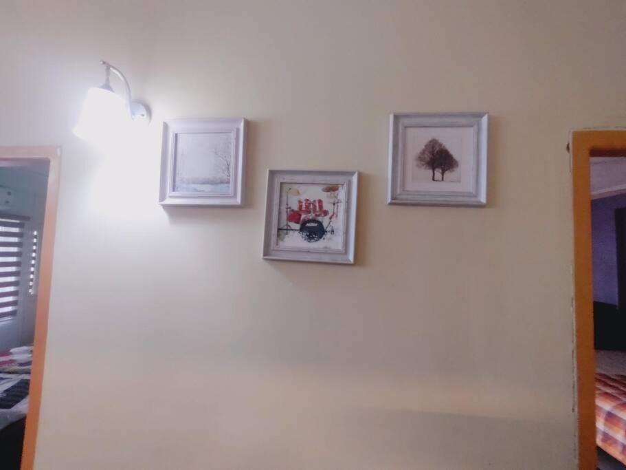 Riverview Nest Apartment