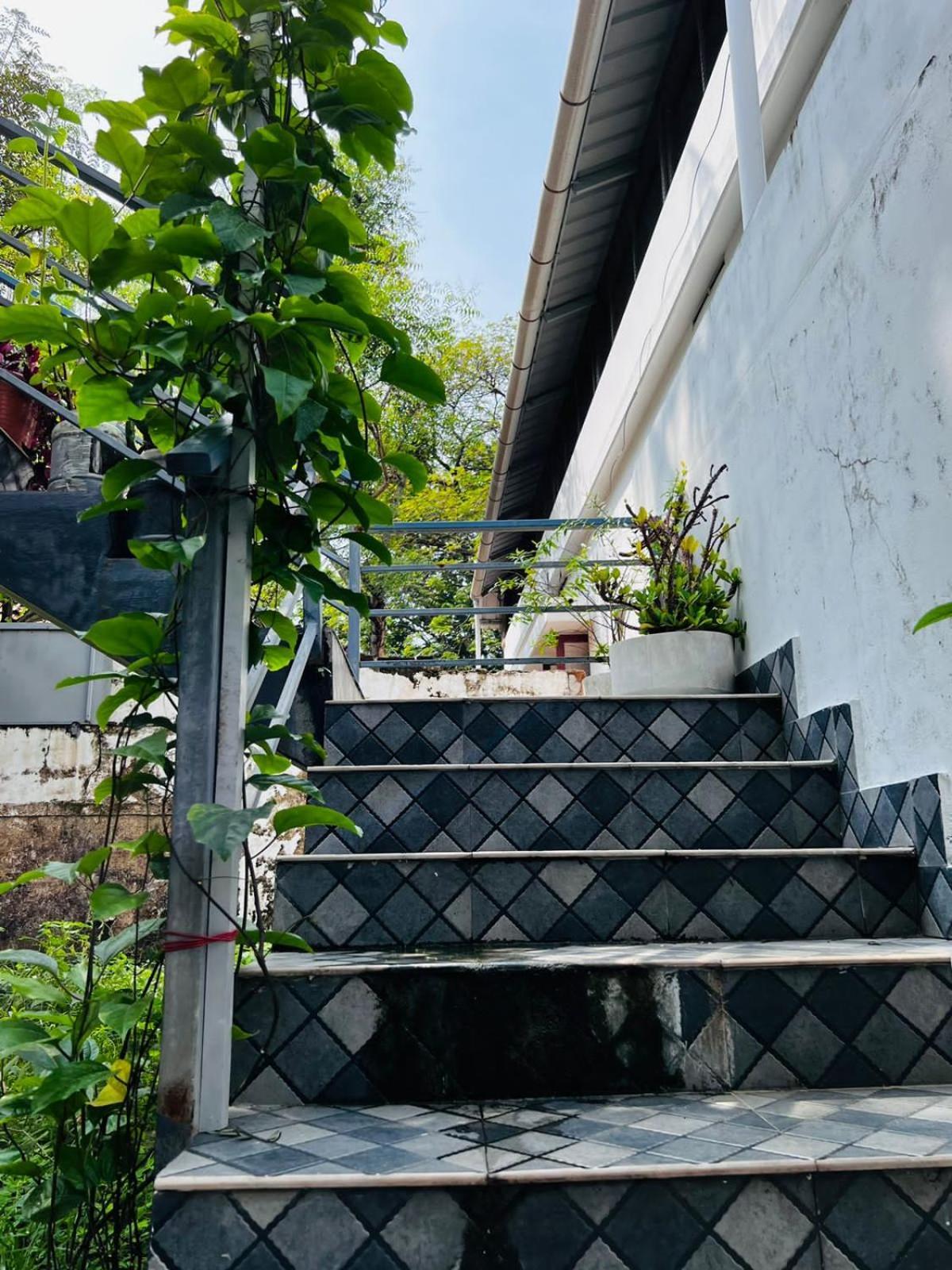 Homestay Babylon Homestay Kochi