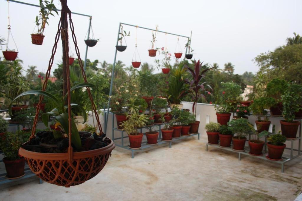 Aaron's Homestay