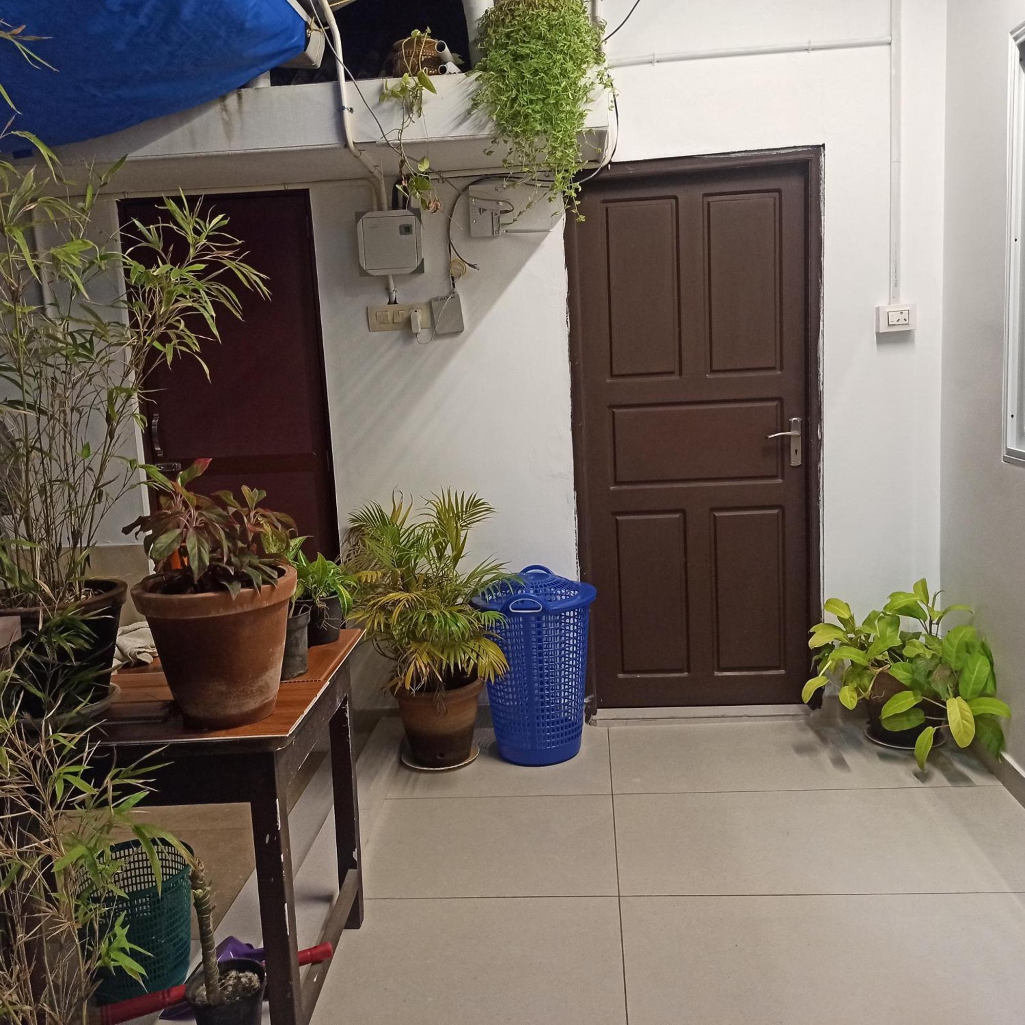 Homestay Bethesda *