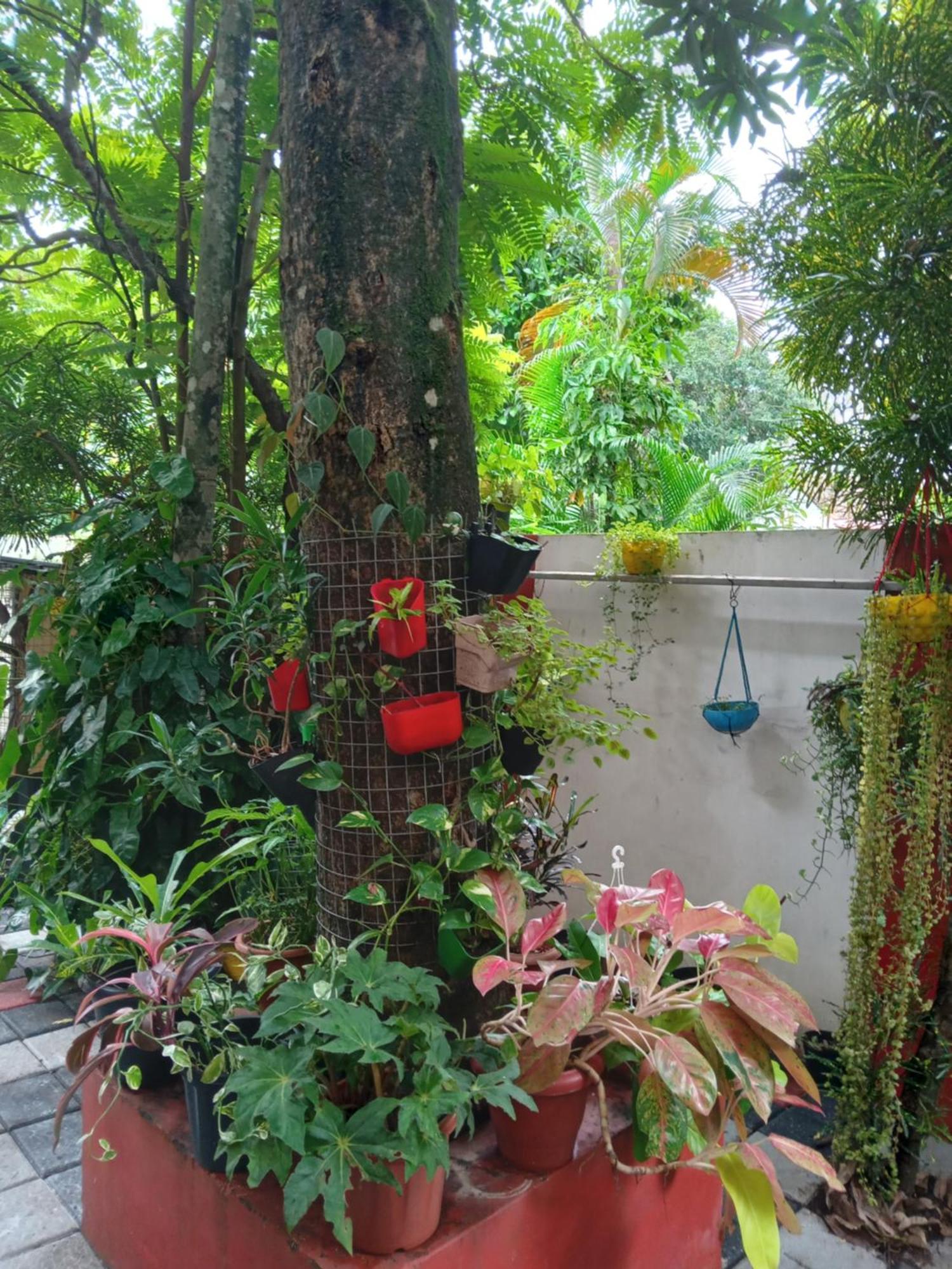 Homestay Gerards Fortkochi