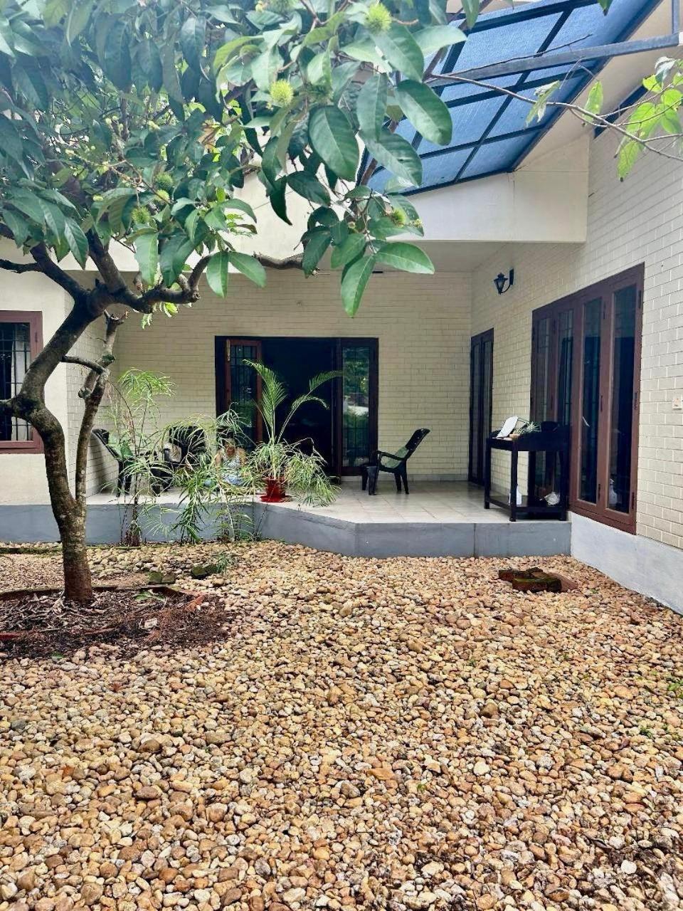 Mango Tree Guest house *